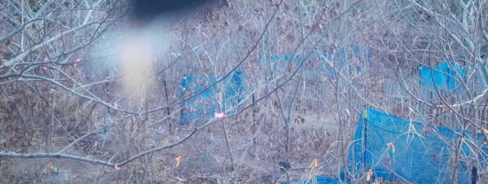 Jan 15 2026  7:13:48, #01