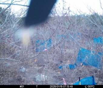 Jan 15 2026  7:13:48, #01