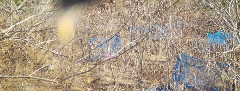 Jan 15 2026 10:13:48, #01