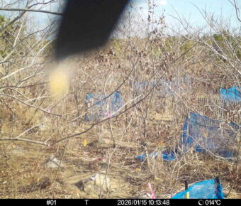 Jan 15 2026 10:13:48, #01