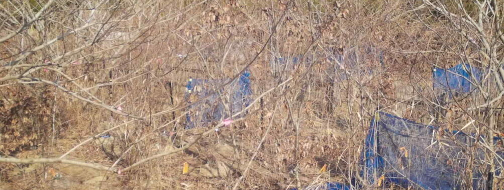 Jan 15 2026 13:13:48, #01