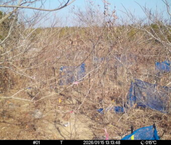 Jan 15 2026 13:13:48, #01