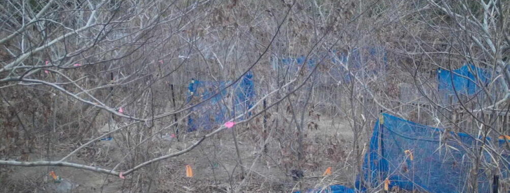 Jan 15 2026 16:13:48, #01