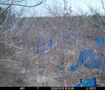 Jan 15 2026 16:13:48, #01