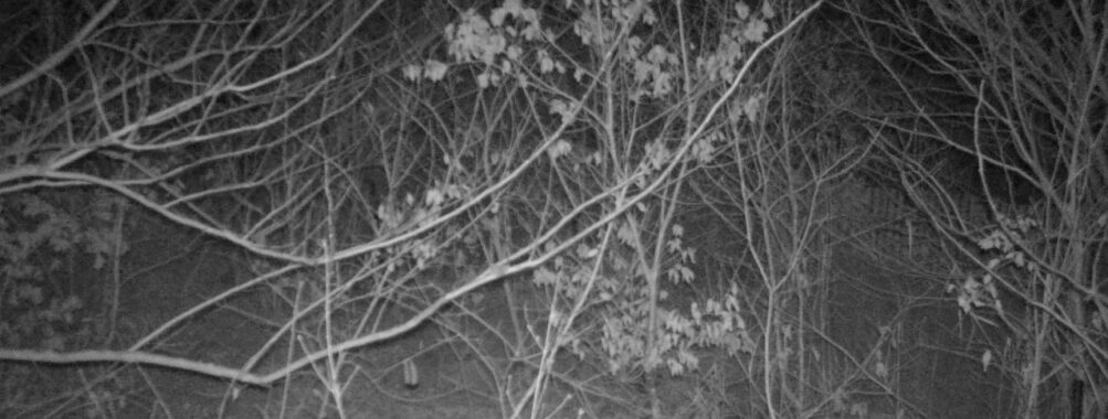 Jan 15 2026 19:13:47, #01