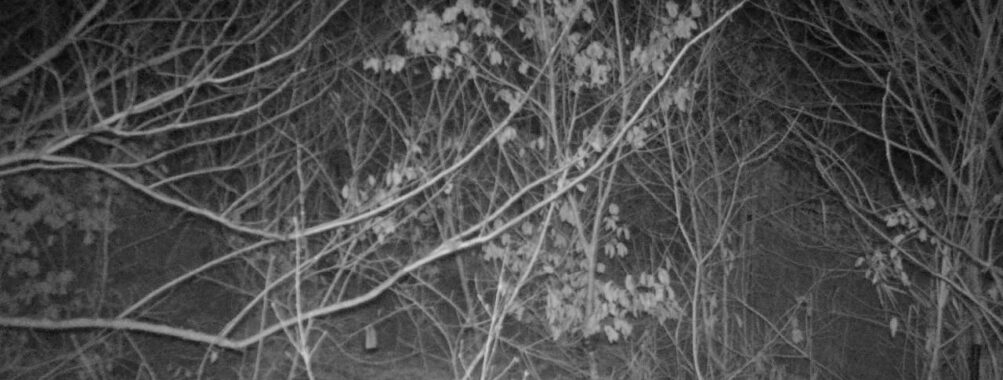 Jan 15 2026 22:13:47, #01