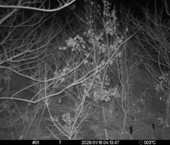 Jan 16 2026  4:13:47, #01