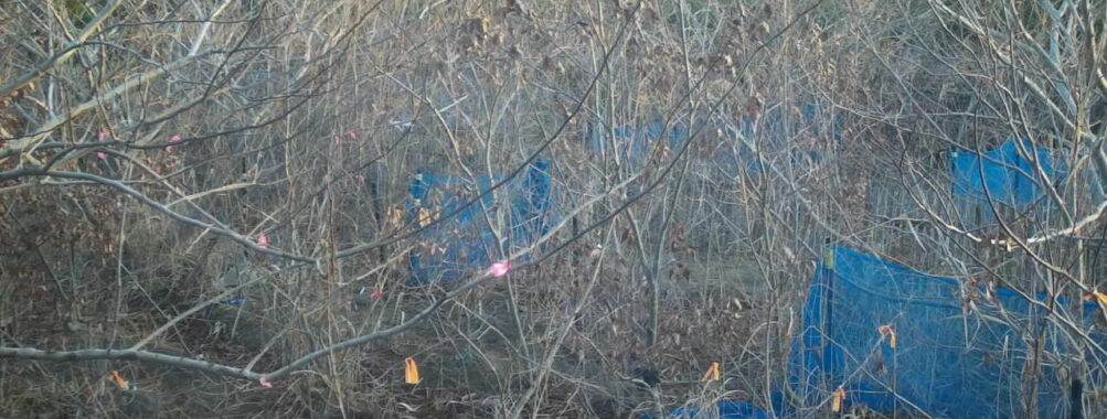 Jan 16 2026  7:13:48, #01