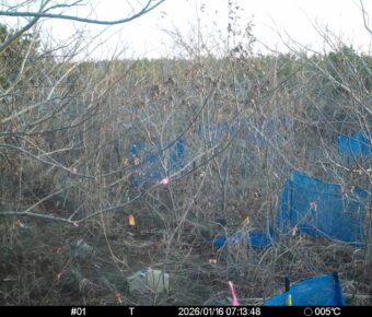 Jan 16 2026  7:13:48, #01