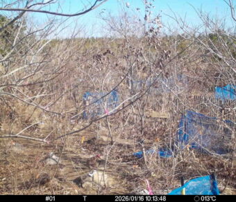 Jan 16 2026 10:13:48, #01