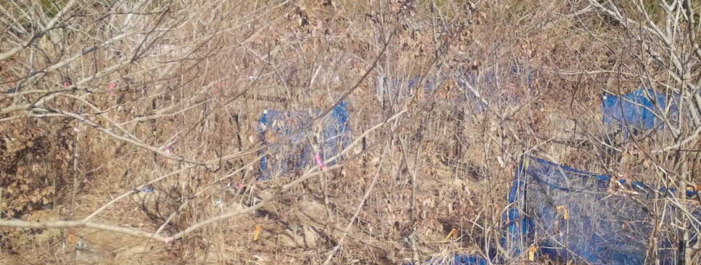 Jan 16 2026 13:13:48, #01