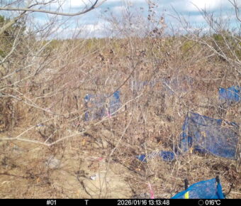 Jan 16 2026 13:13:48, #01