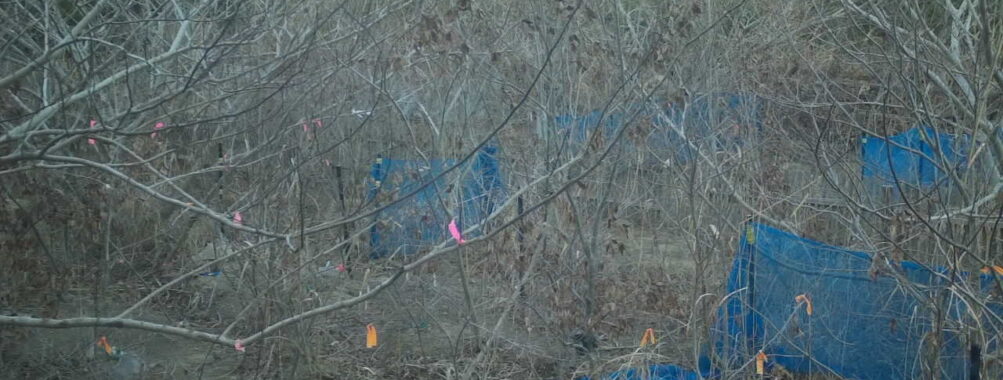 Jan 16 2026 16:13:48, #01