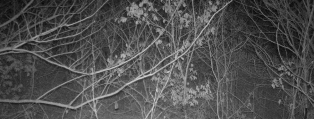 Jan 16 2026 22:13:47, #01