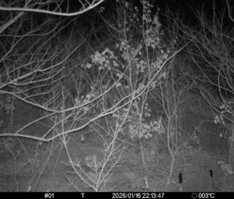 Jan 16 2026 22:13:47, #01