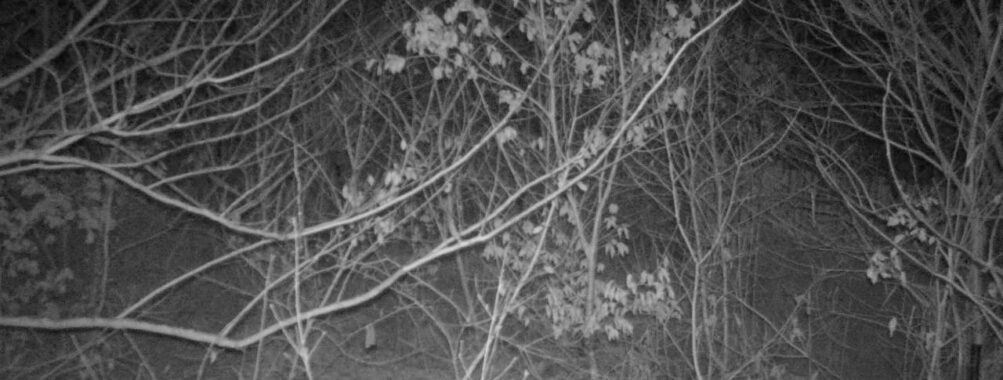 Jan 17 2026  1:13:47, #01