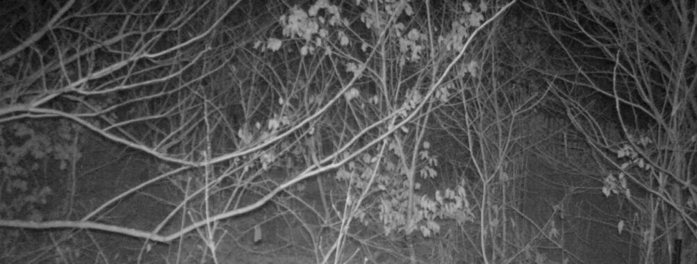 Jan 17 2026  4:13:47, #01