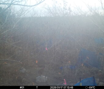 Jan 17 2026  7:13:48, #01