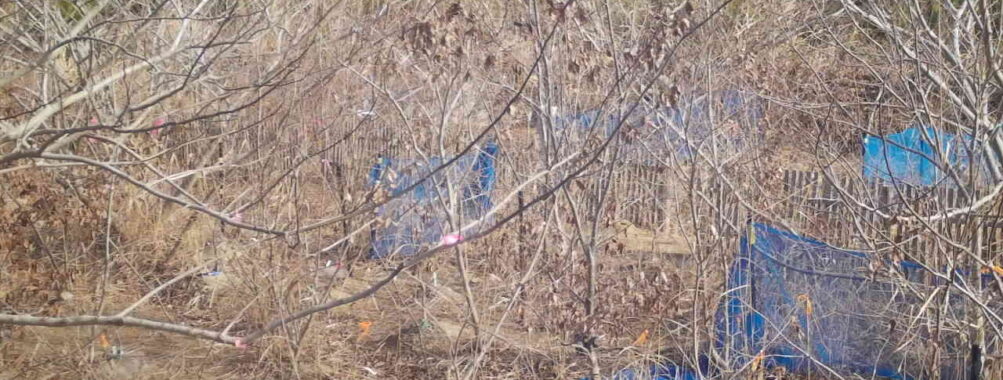 Jan 17 2026 10:13:48, #01