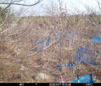 Jan 17 2026 10:13:48, #01