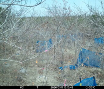 Jan 17 2026 13:13:48, #01