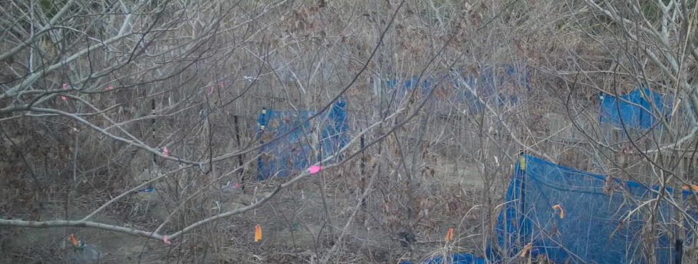 Jan 17 2026 16:13:48, #01