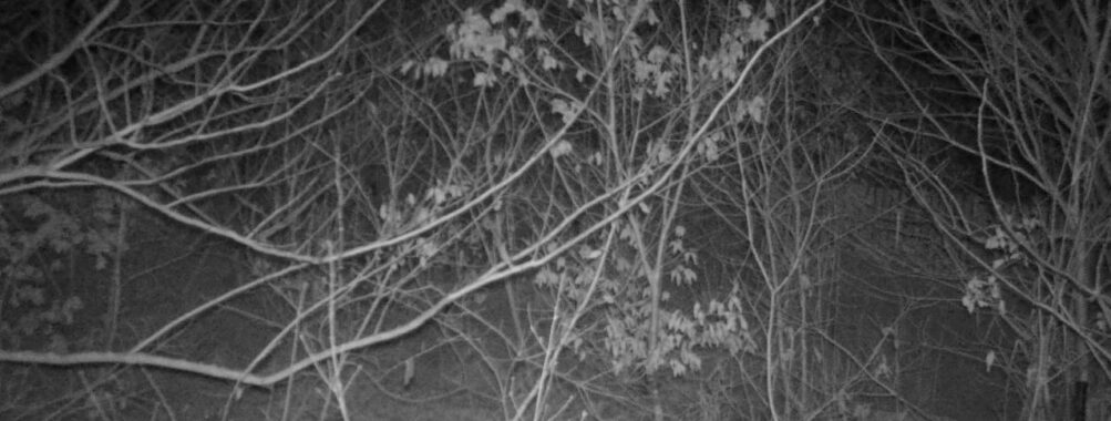 Jan 17 2026 19:13:47, #01