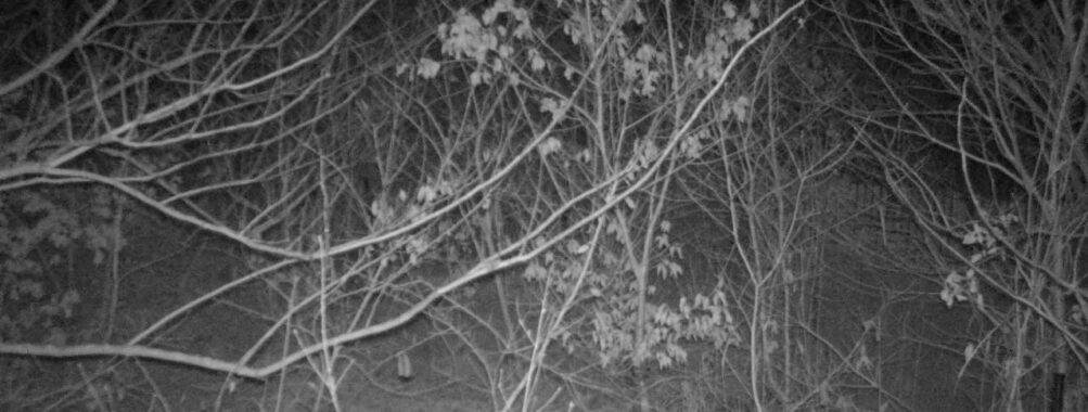 Jan 18 2026  4:13:48, #01