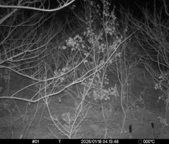 Jan 18 2026  4:13:48, #01