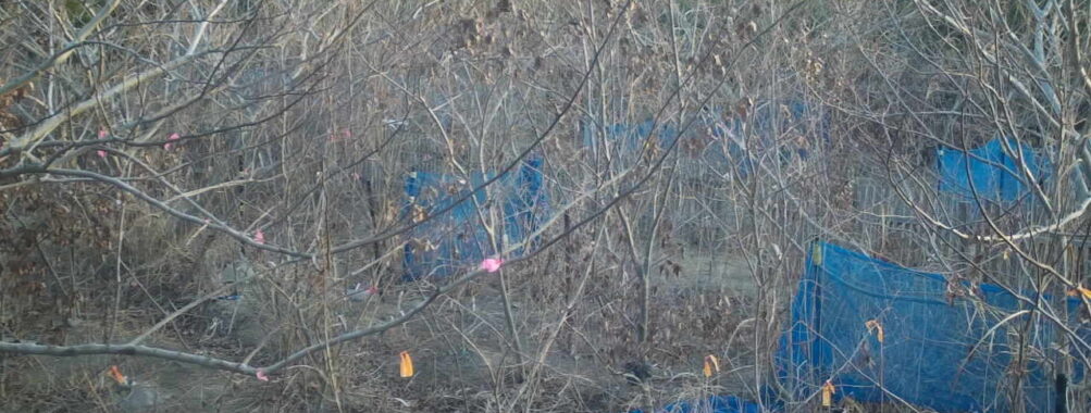 Jan 18 2026  7:13:48, #01