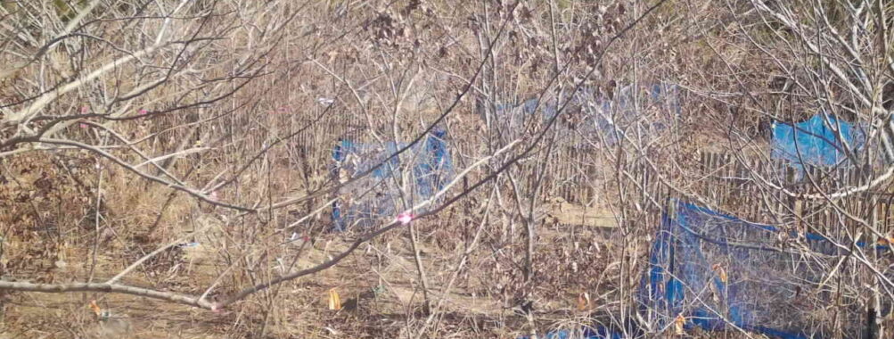 Jan 18 2026 10:13:48, #01