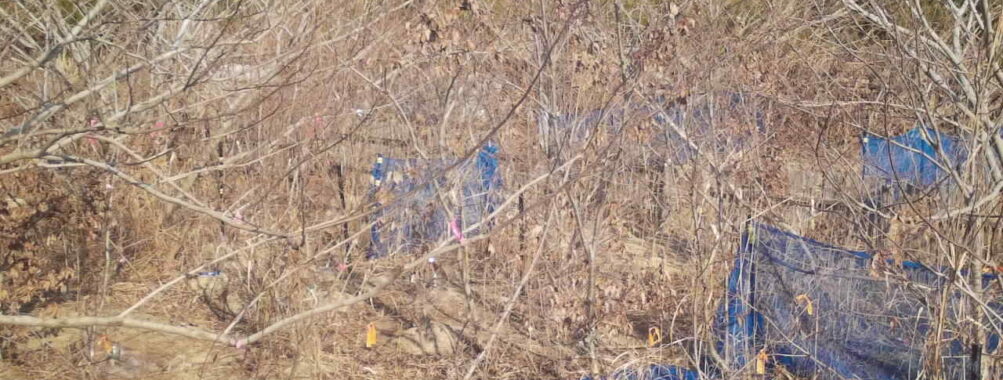 Jan 18 2026 13:13:48, #01