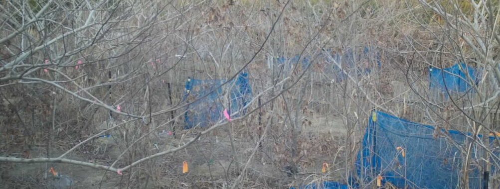 Jan 18 2026 16:13:48, #01