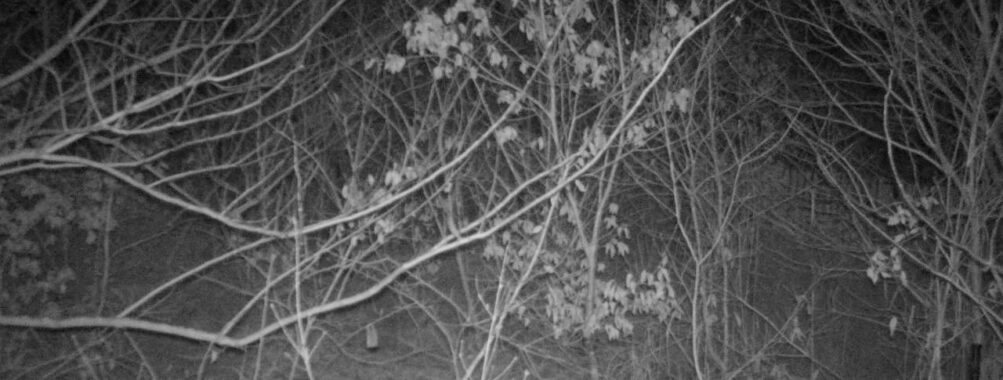 Jan 19 2026  4:13:47, #01