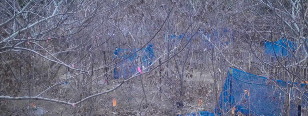 Jan 19 2026  7:13:48, #01