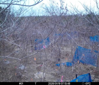 Jan 19 2026  7:13:48, #01