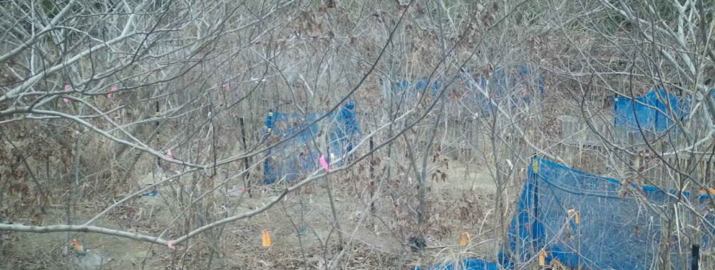 Jan 19 2026 10:13:48, #01