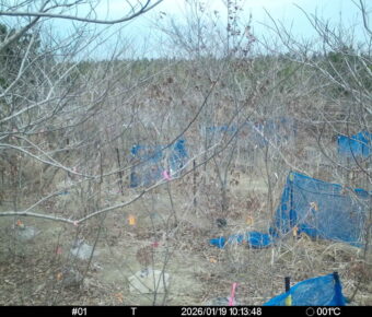 Jan 19 2026 10:13:48, #01