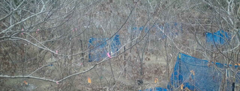 Jan 19 2026 13:13:48, #01