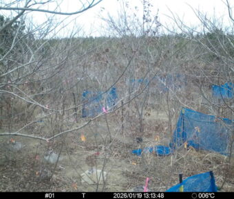 Jan 19 2026 13:13:48, #01