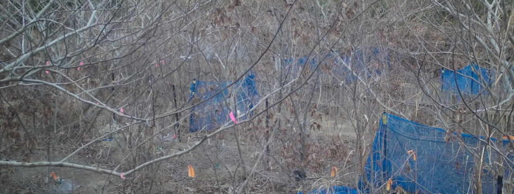 Jan 19 2026 16:13:48, #01