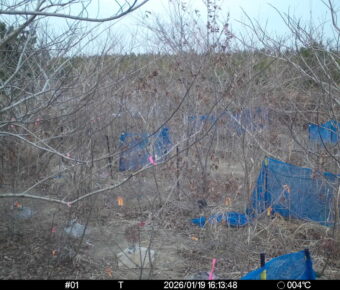 Jan 19 2026 16:13:48, #01