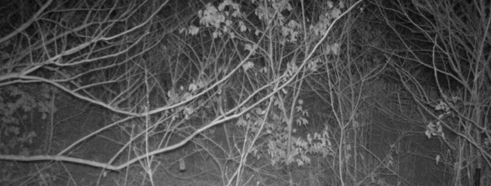 Jan 19 2026 22:13:47, #01