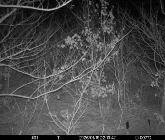 Jan 19 2026 22:13:47, #01