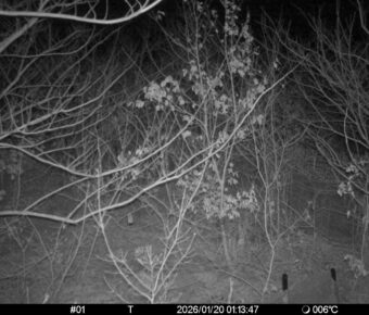 Jan 20 2026  1:13:47, #01