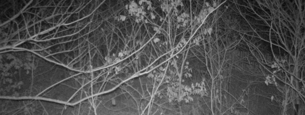 Jan 20 2026  4:13:47, #01