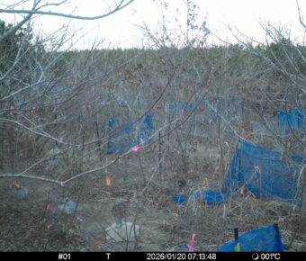 Jan 20 2026  7:13:48, #01