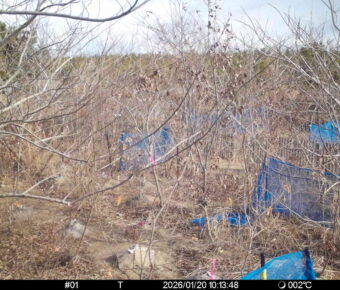 Jan 20 2026 10:13:48, #01