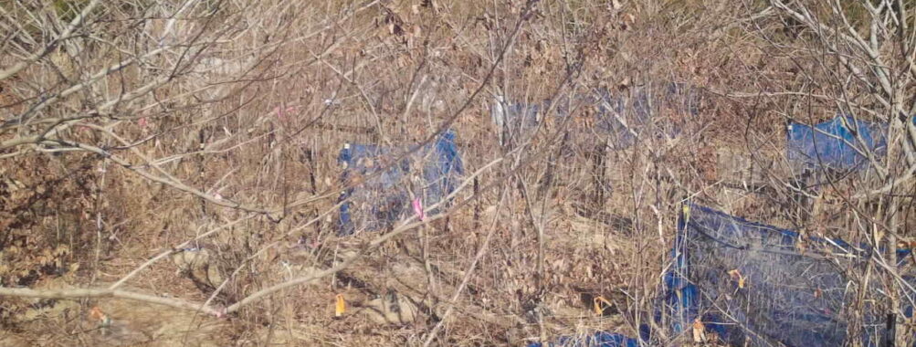 Jan 20 2026 13:13:48, #01