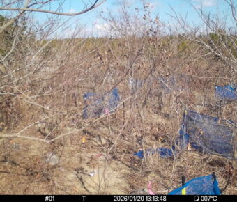 Jan 20 2026 13:13:48, #01